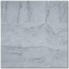 Carrara White 12x12 Honed Marble Tile 2