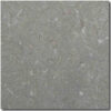 Seagrass 16x16 Green Honed Limestone Tile 1