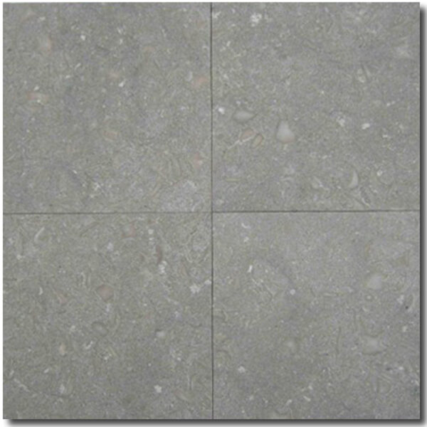 Seagrass 16x16 Green Honed Limestone Tile 0