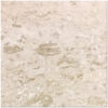 Shell Stone 24x24 White Brushed Limestone Tile 0