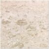 Shell Stone 24x24 White Brushed Limestone Tile 1