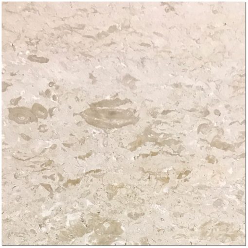 Shell Stone 24x24 White Brushed Limestone Tile 1