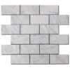 Carrara White Mosaic 2x4 Rectangle Honed Marble 1