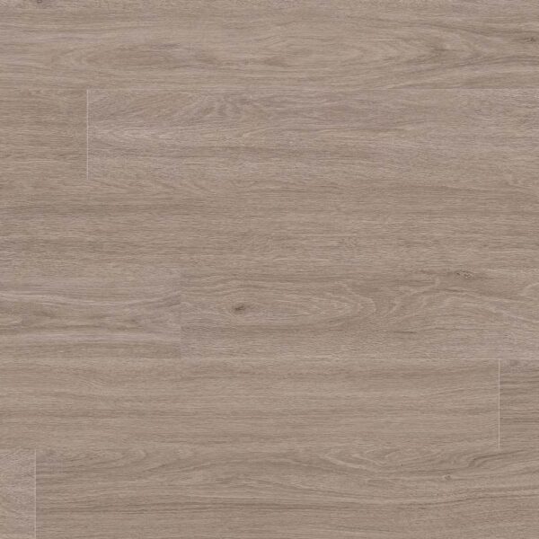 Glenridge - Katavia Bleached Elm 6X48 6x48 Lvt Glue Down Vinyl Plank 2