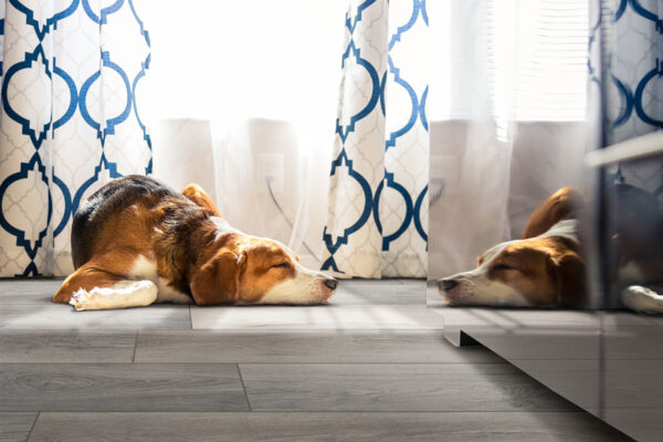 Smithcliffs - Waterproof Hybrid Rigid Core Malton 7.72X47.87 7x48 Lvt Vinyl Plank 4