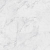 Trecento Carrara Avell 12X24 12x24 Lvt Rigid Core Vinyl Plank 2