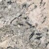 Granite Slabs Mountain White 110X26 Slab 1