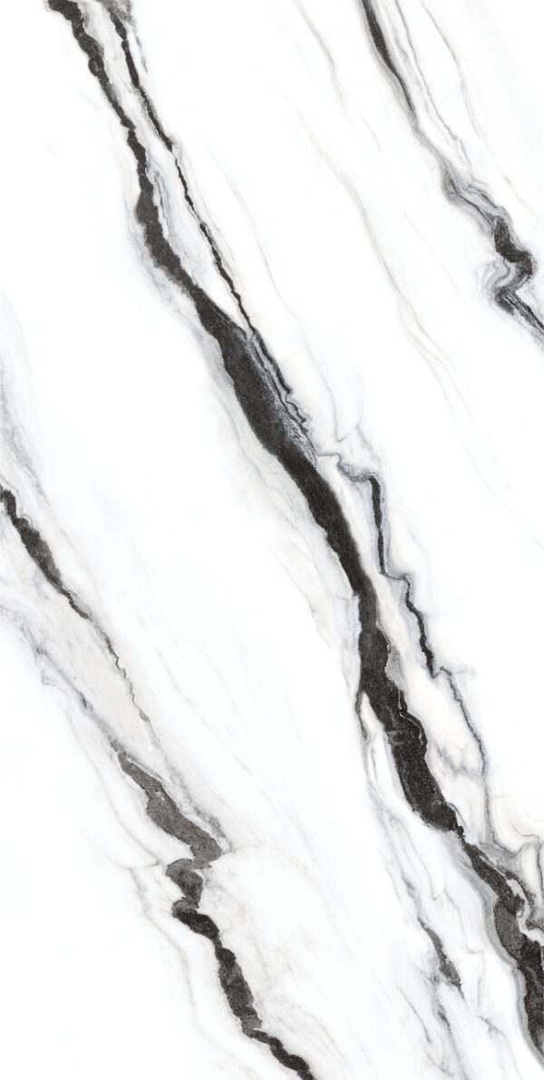 Granite Slabs Panda 110X52 White N/A Slab 1