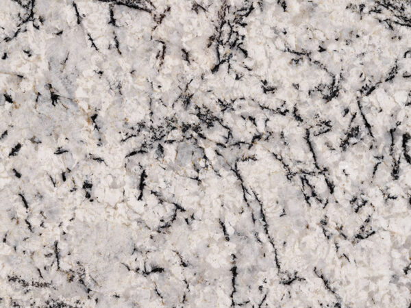 Blizzard Polished Granite Slab 3