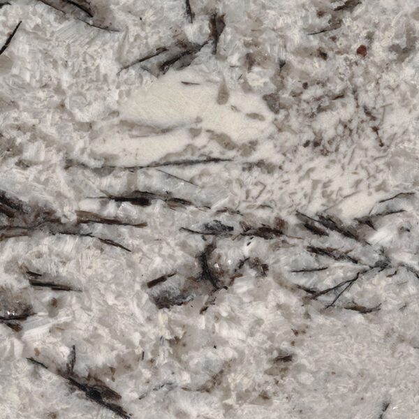 Delicatus White Polished Granite Slab 3