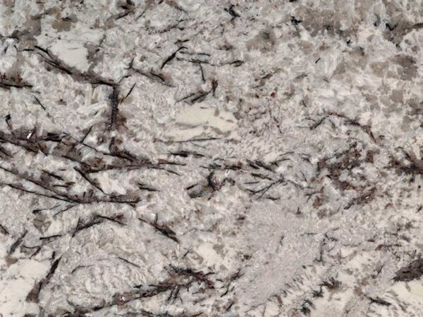 Delicatus White Polished Granite Slab 5