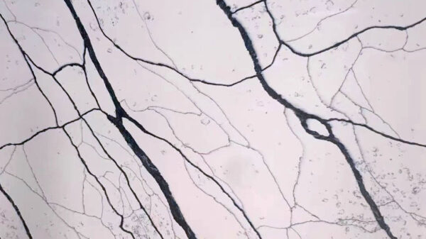 Quartz Stone Slabs Zion 110x36 Slab 1