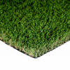 Cascade Fescue Turf Landscape 0