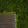 Cascade Fescue Light Turf Landscape 0