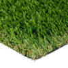 Cascade Fescue Light Turf Landscape 1