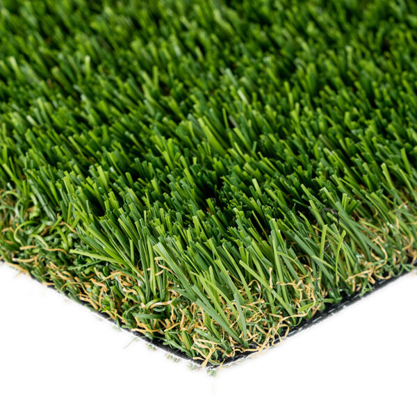 Cascade Fescue Light Turf Landscape 1