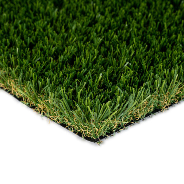 Diamond Light Fescue Turf Landscape 0