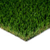 Diamond Light Spring Turf Landscape 0