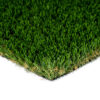 Diamond Pro Spring Turf Landscape 1