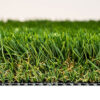 Diamond Supreme Fescue Turf Landscape 3