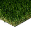 Diamond Supreme Fescue Turf Landscape 1