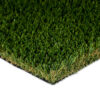 Everglade Fescue Pro Turf Landscape 1