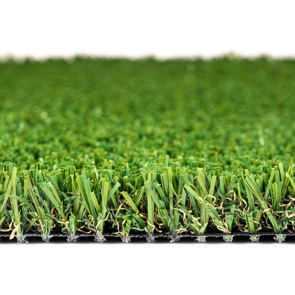 Everlast Pet Turf Landscape 4