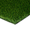 Malibu Fescue Green Thatch Turf Landscape 1