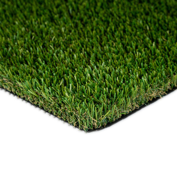 Malibu Fescue Light Turf Landscape 1