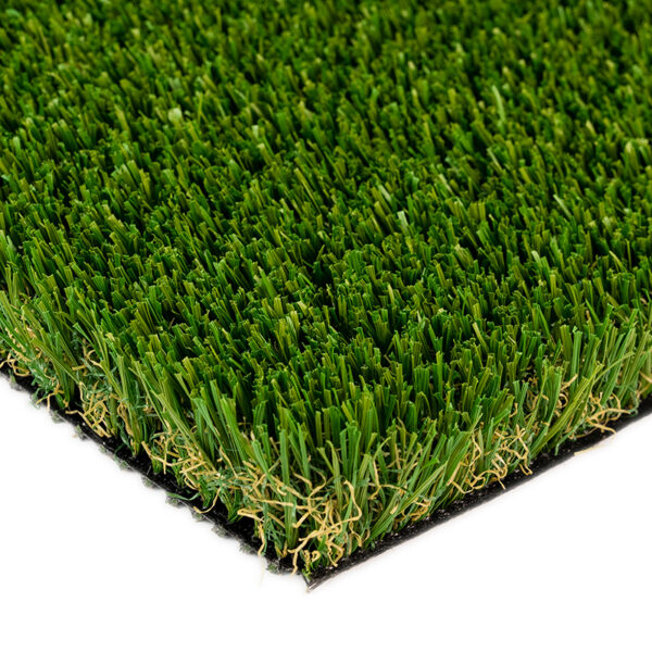 Malibu Fescue Pro Turf Landscape 1