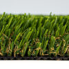 Multipurpose Turf Landscape 3