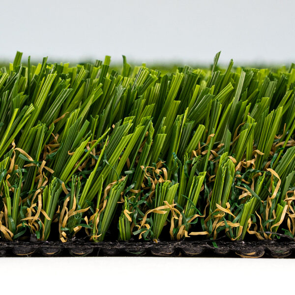 Multipurpose Turf Landscape 3