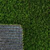 Multipurpose Turf Landscape 0