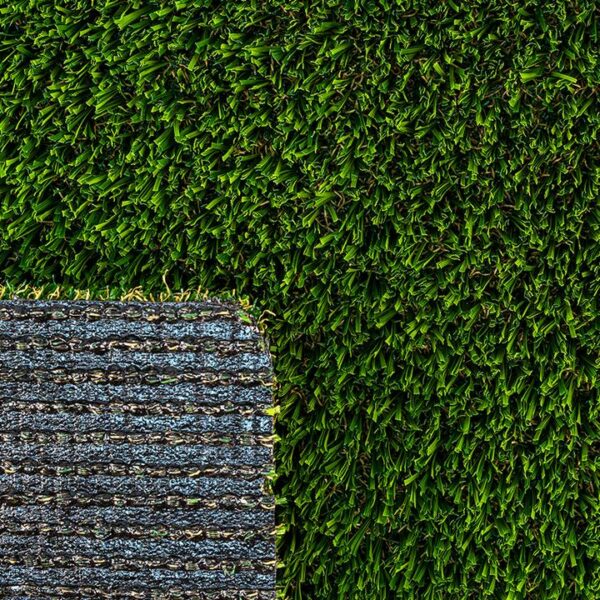 Multipurpose Turf Landscape 0