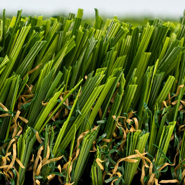 Multipurpose Turf Landscape 2