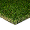 Nature'S Best Turf Landscape 1