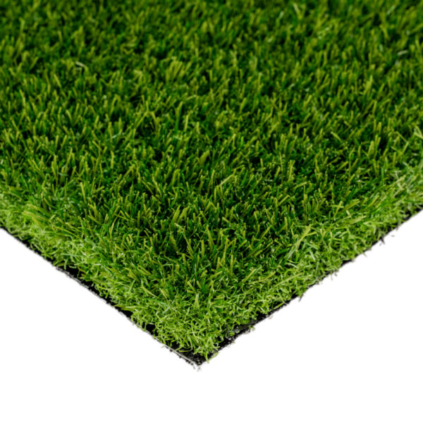 Nylon Premier Lawn Turf Landscape 1