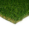 Platinum Turf Landscape 1