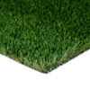 Tacoma Turf Landscape 2