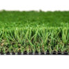 Tacoma Turf Landscape 4