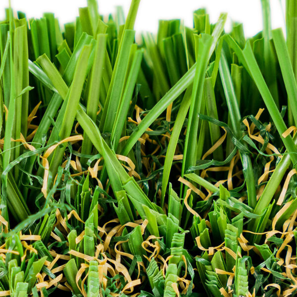 Tacoma Turf Landscape 3