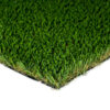 Tiger Sport Turf Landscape 1