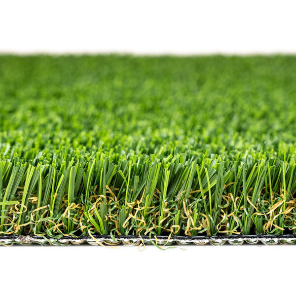 Tiger Sport Turf Landscape 3