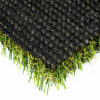 Venice Fescue Light Turf Landscape 3