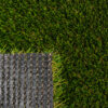 Venice Fescue Light Turf Landscape 4