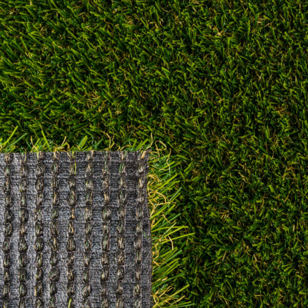 Venice Fescue Light Turf Landscape 4