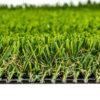 Venice Fescue Light Turf Landscape 0