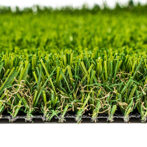 Venice Fescue Light Turf Landscape 0