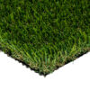 Venice Fescue Light Turf Landscape 1