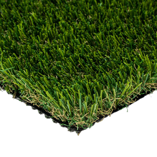 Venice Fescue Light Turf Landscape 1